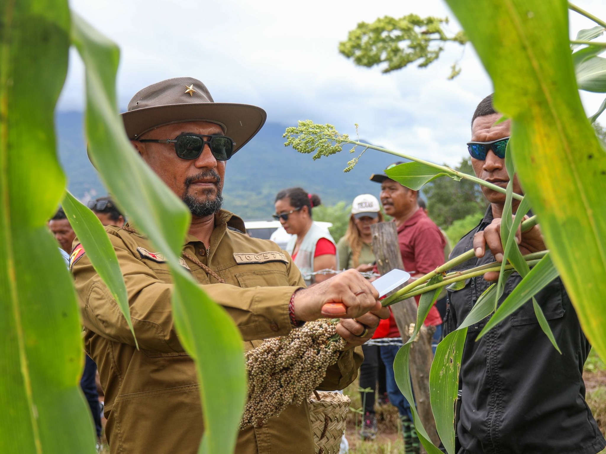 𝗦𝗘𝗞𝗼𝗼𝗽 𝗞𝗼𝗶𝗹𝗹𝗲𝘁𝗮 𝗕𝗮𝗳𝗼 𝗞𝗮𝘆𝗿𝗮𝗹𝗮 𝗛𝗲𝗸𝘁𝗮𝗿𝗲𝘀 𝟮𝟬 𝗶𝗵𝗮 𝗠𝗮𝗹𝗶𝗮𝗻𝗮, 𝗠𝘂𝗻𝗶𝘀í𝗽𝗶𝘂 𝗕𝗼𝗯𝗼𝗻𝗮𝗿𝗼